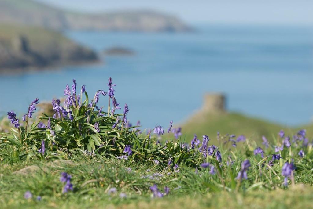 Llety Farm St. Davids (Pembrokeshire) Exterior foto