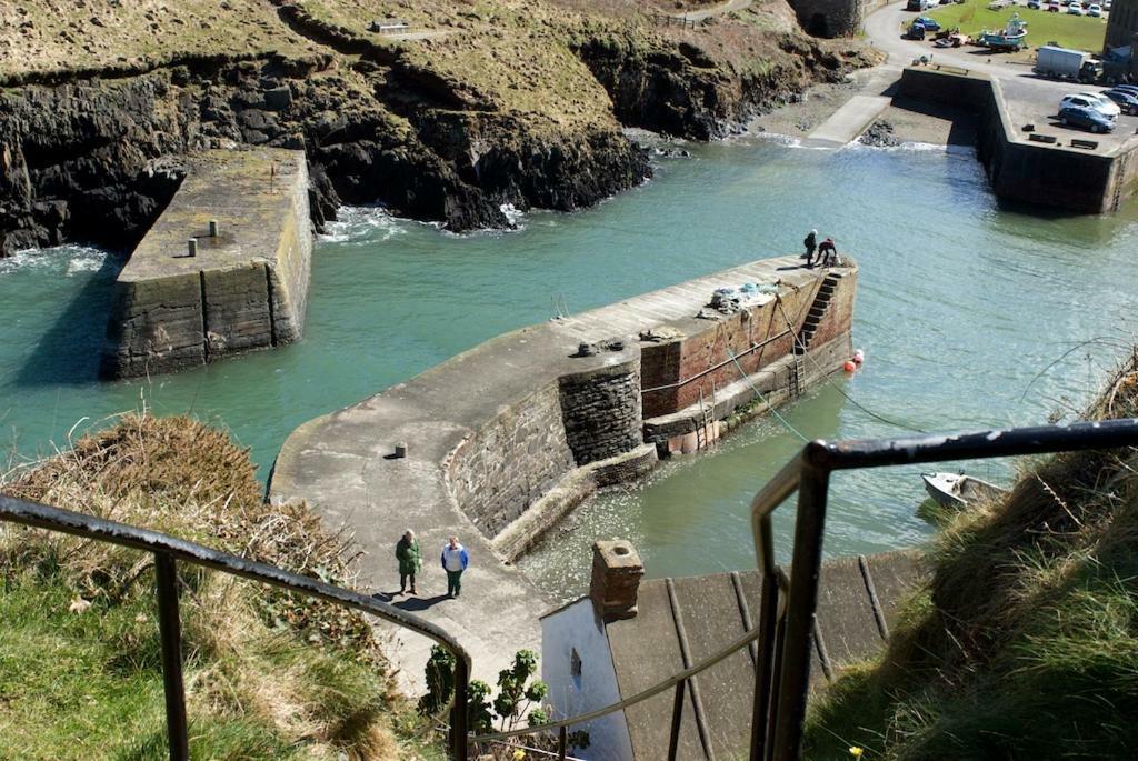 Llety Farm St. Davids (Pembrokeshire) Exterior foto