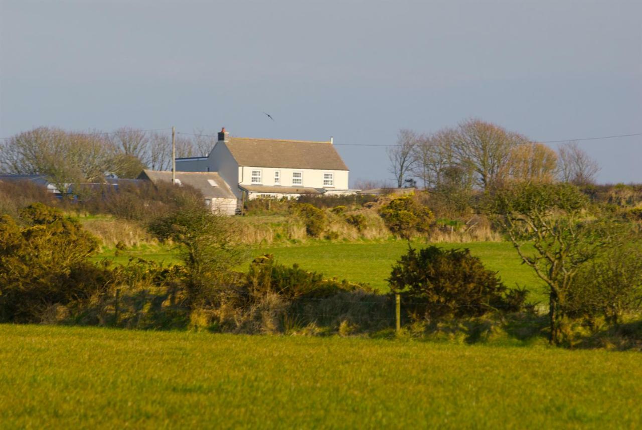 Llety Farm St. Davids (Pembrokeshire) Exterior foto